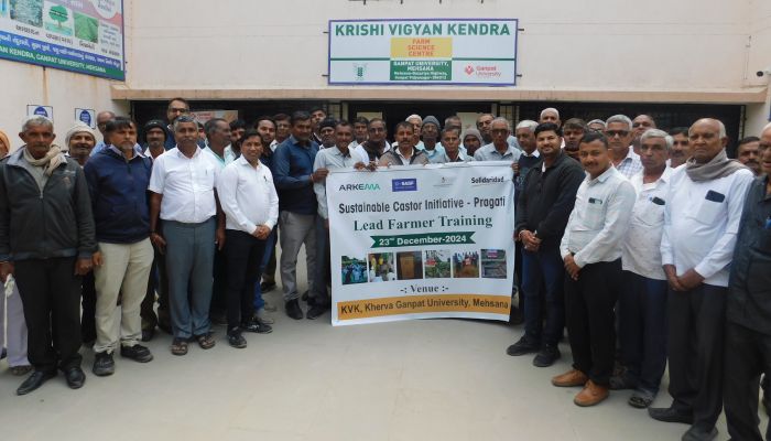Lead Castor Farmers Gain Comprehensive Overview of Regenerative Practices, Old and New