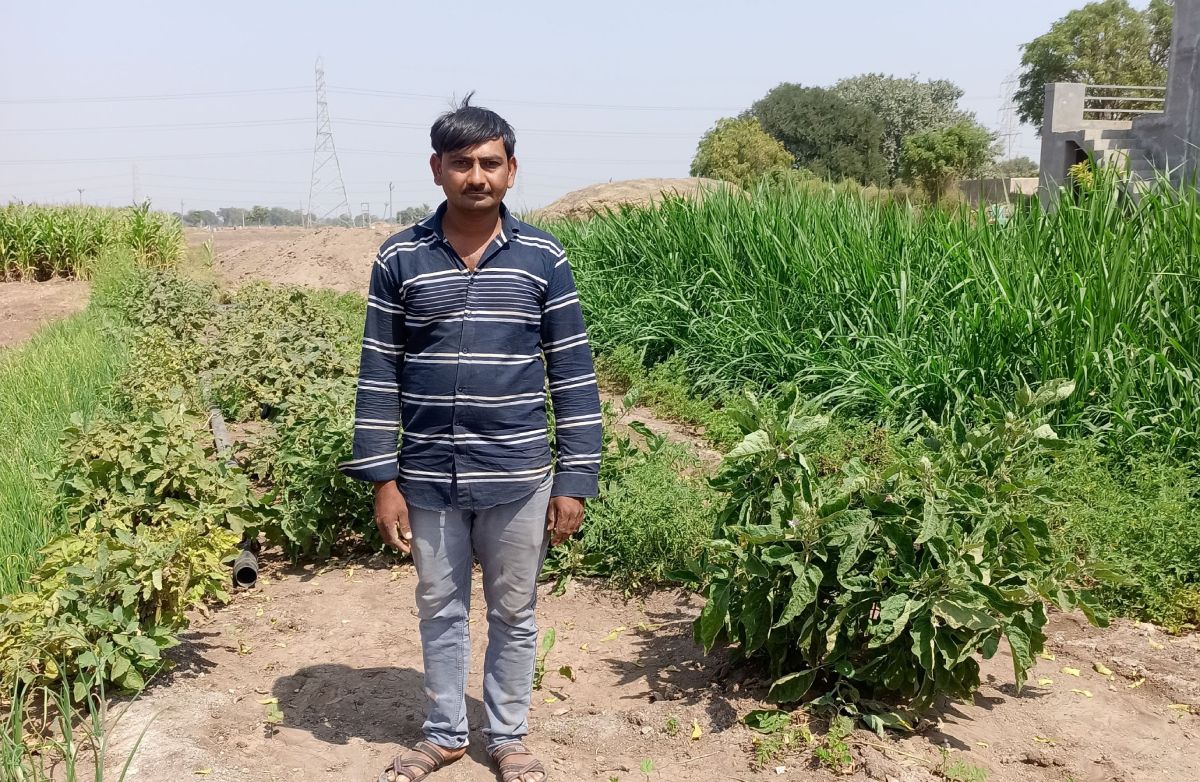 Sowing Seeds of Sustainability and Sustenance