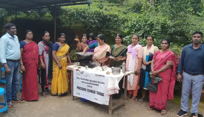 With New Tea Processing Unit, Women from Aswariya FPO Seek Empowerment Under STRIVE Project