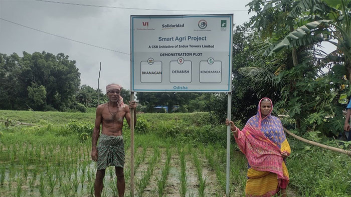 System of Rice Intensification (SRI) method initiated