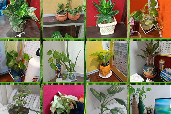 Going Green at Work