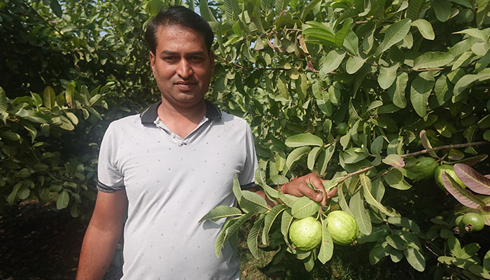  A Pathway to Sustainability and Prosperity