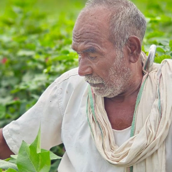 Embracing Smart Farming